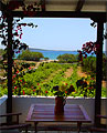 Michael Apartments - Studios Aliki Paros