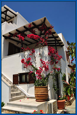 michalis Apartments - Studios